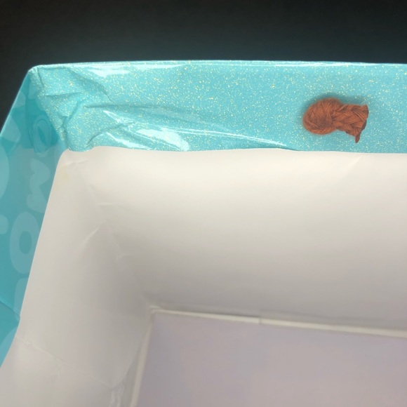 Pui Pui Molcar Gift Present Bag Japan Exclusive Nurie Kawaii Guinea Pig Cars - Picture 7 of 11